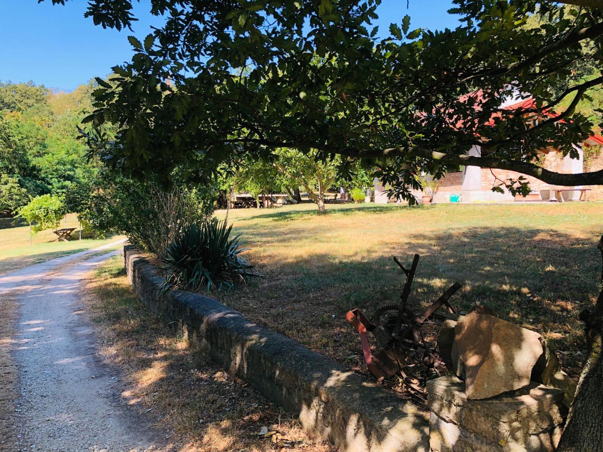 Aligvar Vendeghaz Salfold Exterior foto